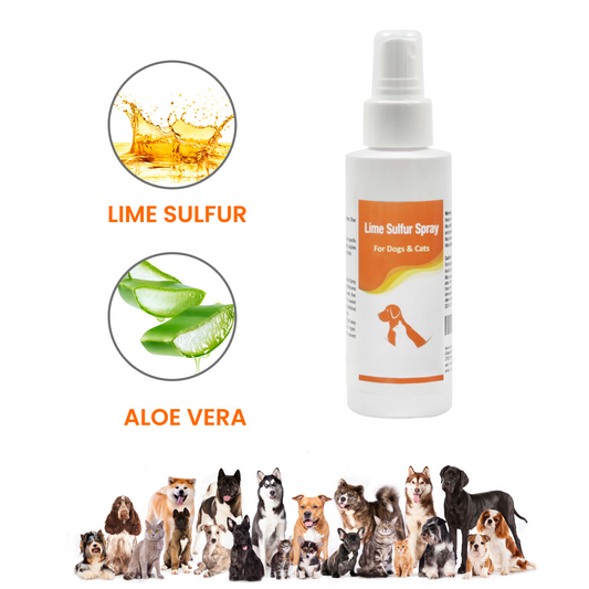 Lime Sulfur Spray - Pet Care for Dry and Itchy Skin