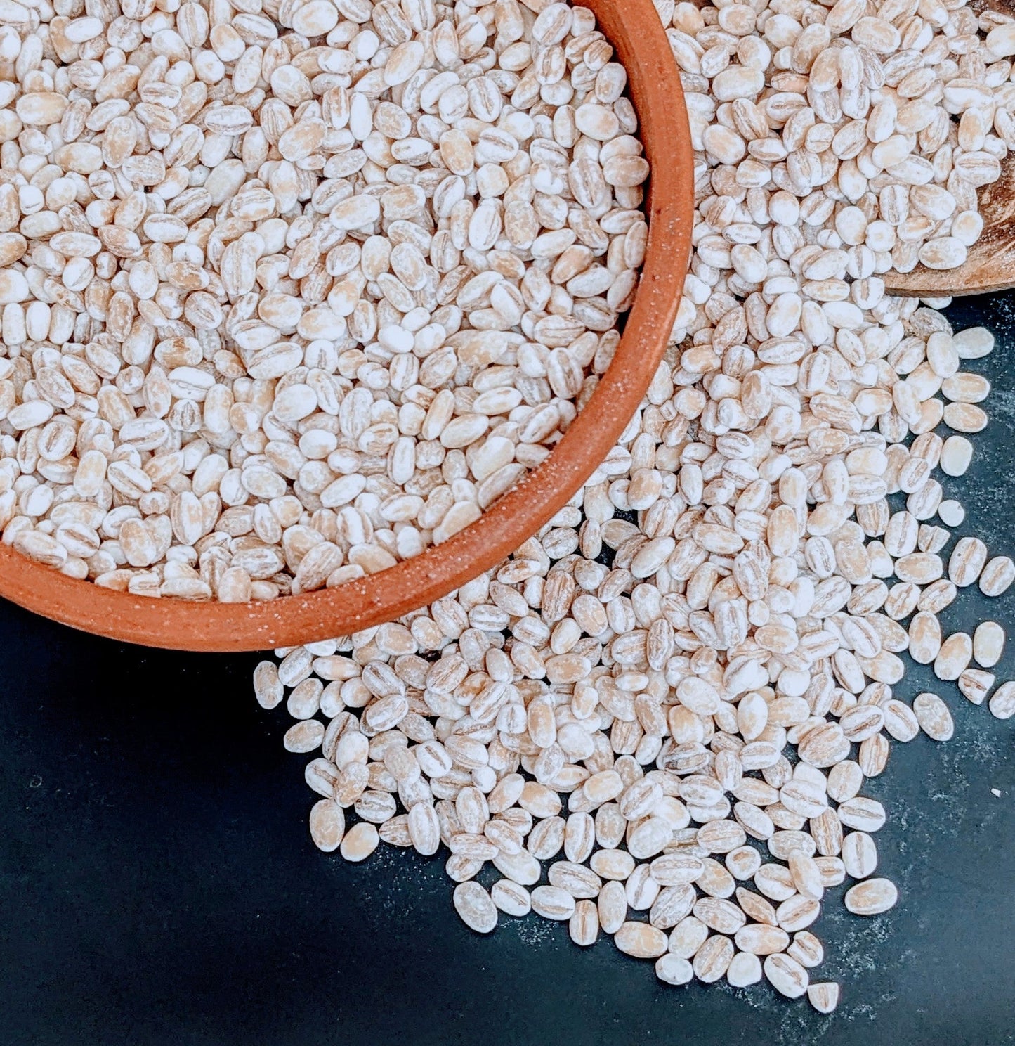 1kg+ Barley seeds ,common barley, grain barley, cereal barley | Ceylon Organic-4