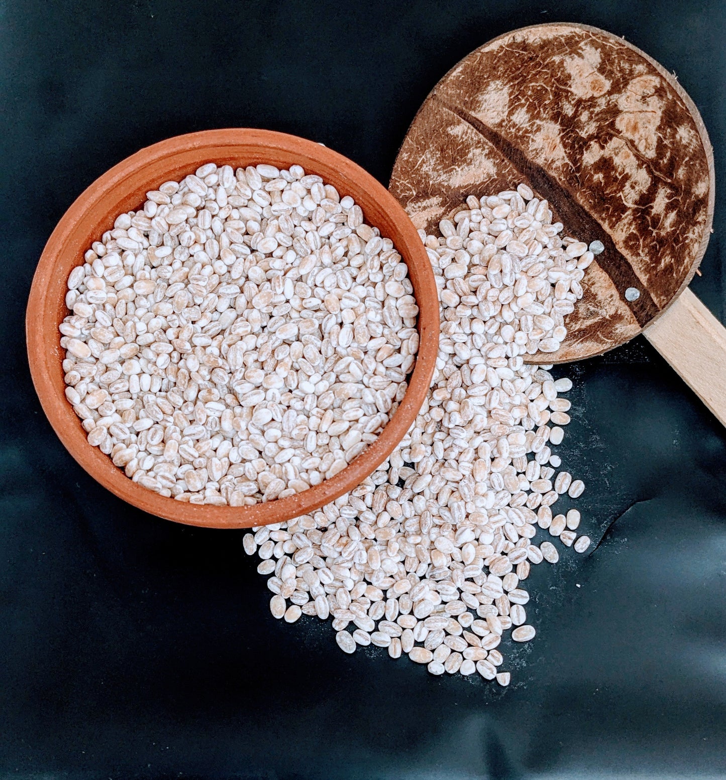 1kg+ Barley seeds ,common barley, grain barley, cereal barley | Ceylon Organic-3