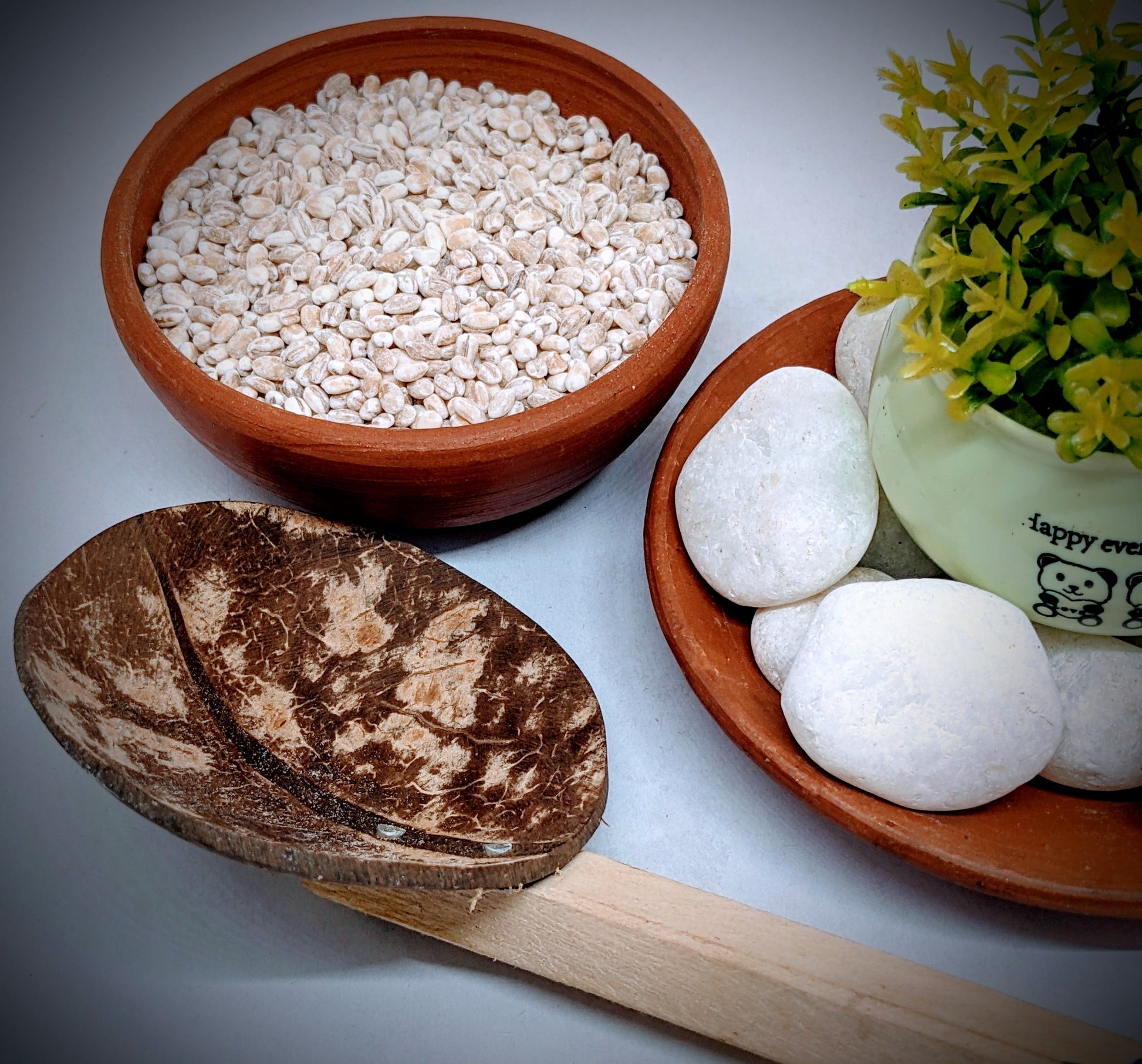 1kg+ Barley seeds ,common barley, grain barley, cereal barley | Ceylon Organic-6