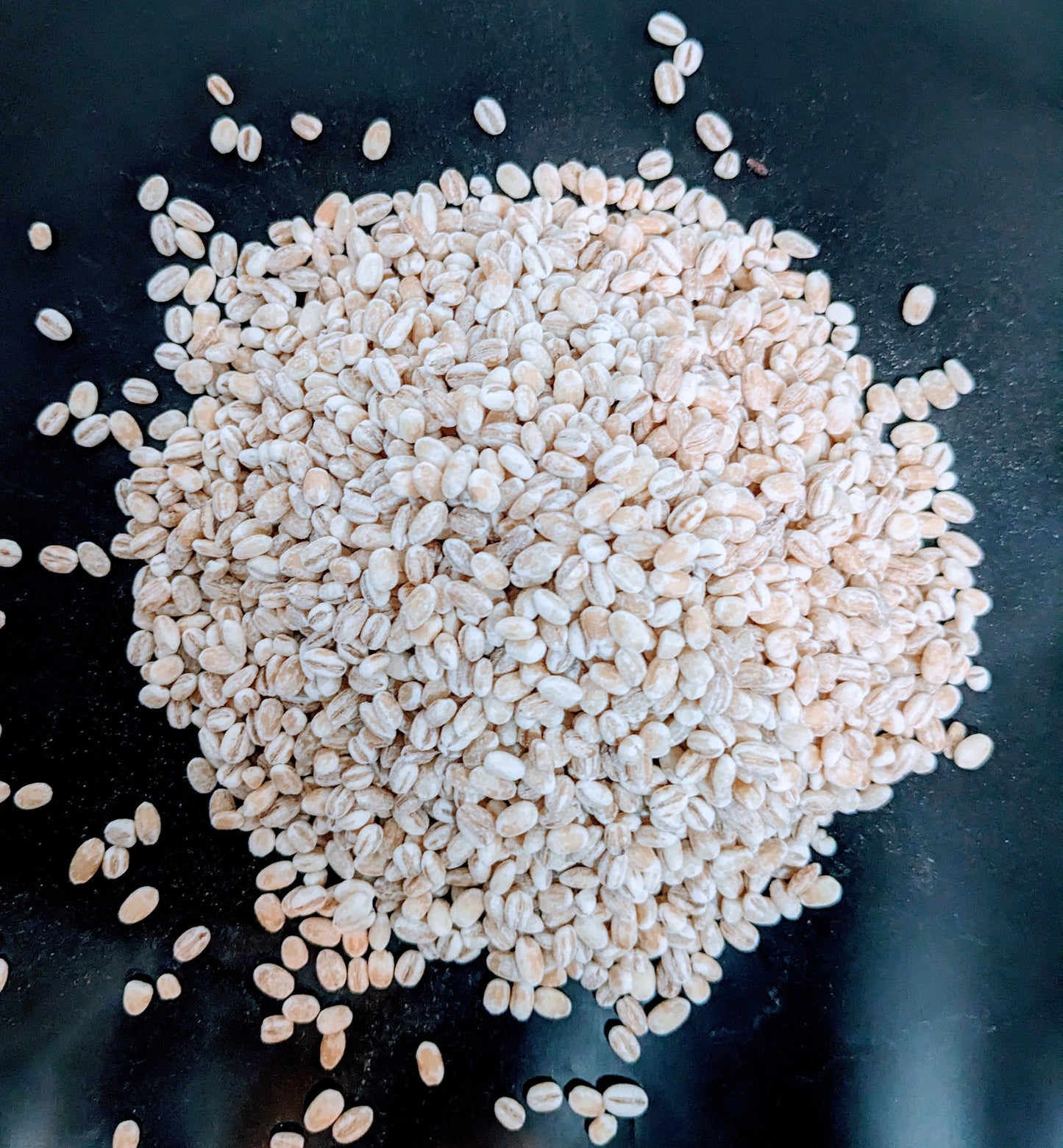 1kg+ Barley seeds ,common barley, grain barley, cereal barley | Ceylon Organic-8