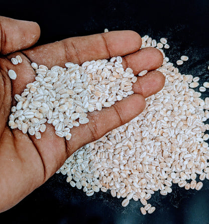 1kg+ Barley seeds ,common barley, grain barley, cereal barley | Ceylon Organic-7