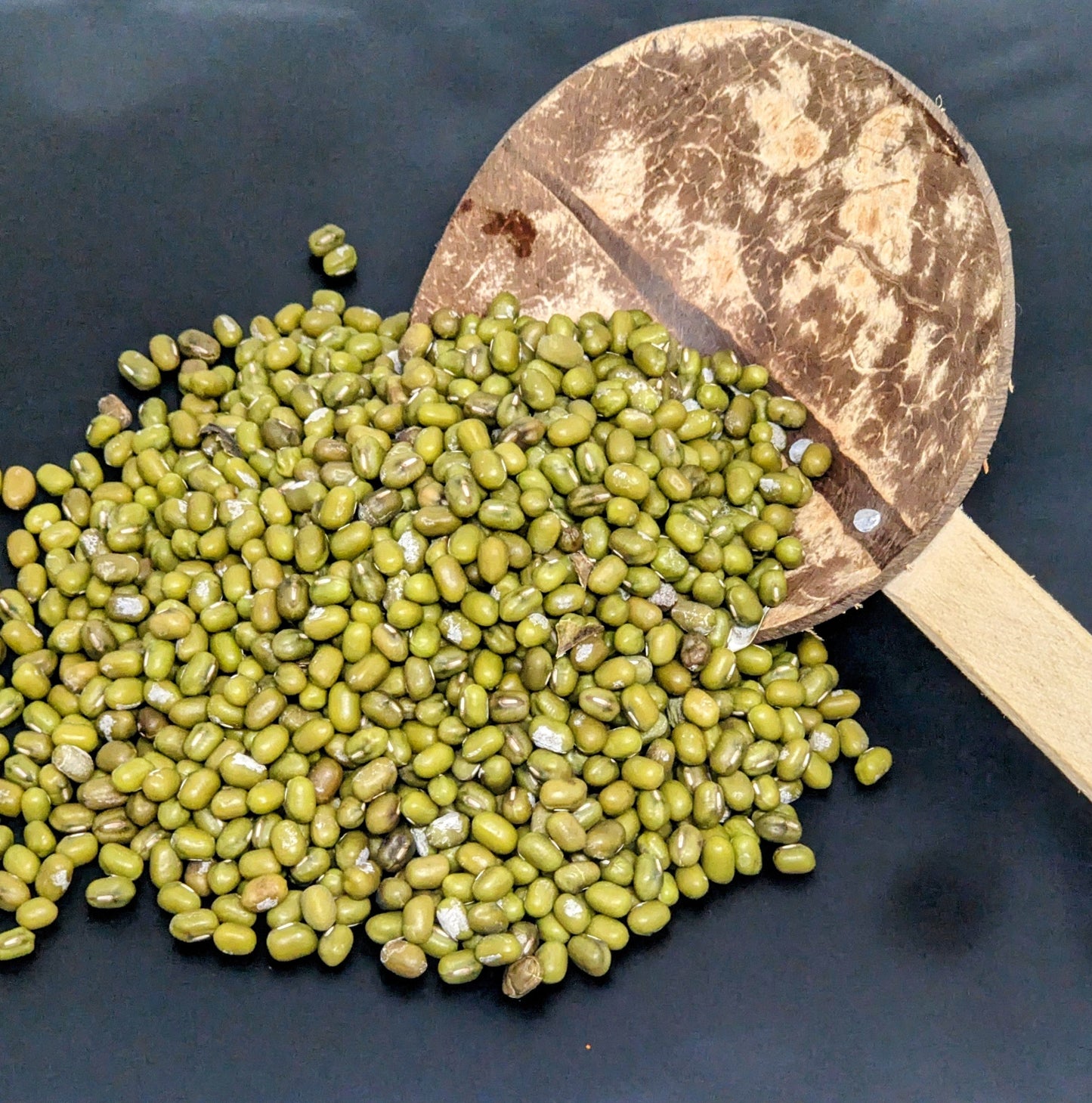1kg+ Mung Bean for Sprouting seeds Microgreens Green Salad Healthy Organic Super Food | Ceylon  Organic-8