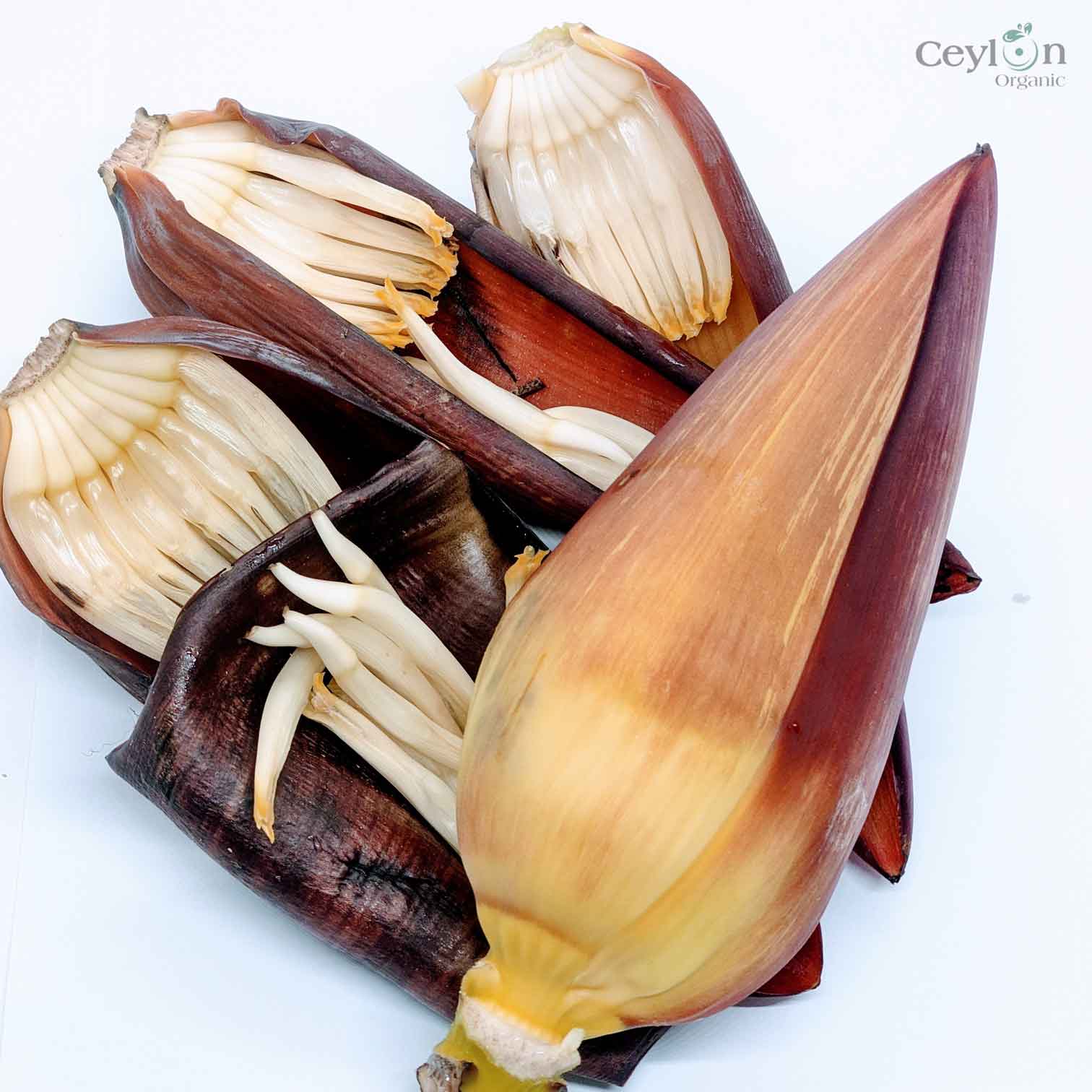 Organic Sun Dried banana Blossom 100% Natural High quality healthy | Ceylon organic-6