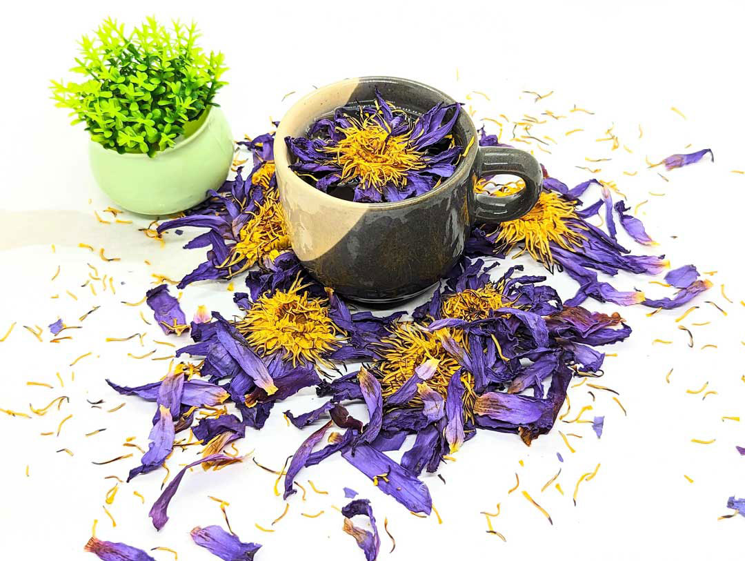 Blue Lotus | Calming and Relaxing Herbal Tea with Blue Lotus Flowers(Nymphaea caerulea) | Ceylon Organic-3