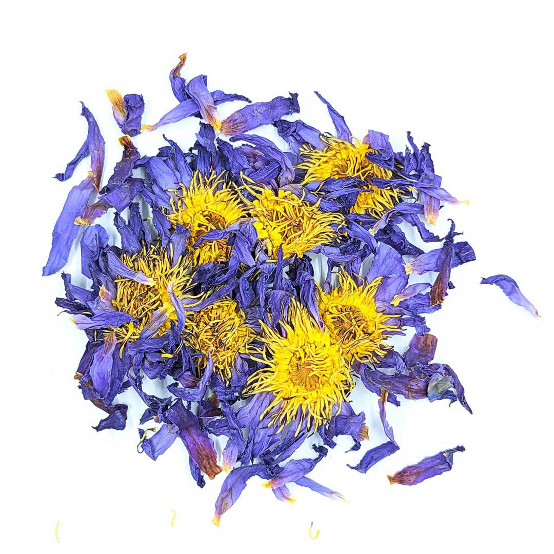 Blue Lotus | Calming and Relaxing Herbal Tea with Blue Lotus Flowers(Nymphaea caerulea) | Ceylon Organic-12
