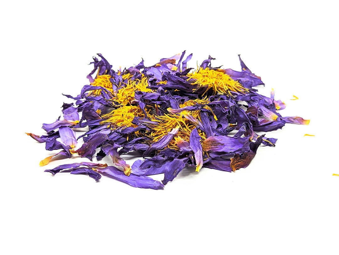 Blue Lotus | Calming and Relaxing Herbal Tea with Blue Lotus Flowers(Nymphaea caerulea) | Ceylon Organic-9