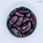 Cacao Seeds / Theobroma / Chocolate seeds from Ceylon-1