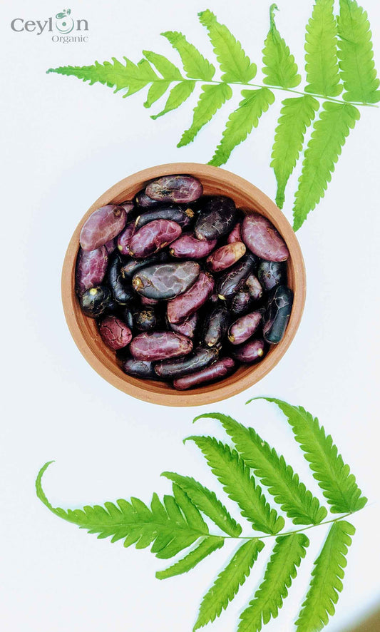 Cacao Seeds / Theobroma / Chocolate seeds from Ceylon-0