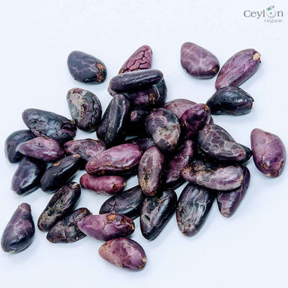 Cacao Seeds / Theobroma / Chocolate seeds from Ceylon-4