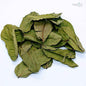 1000+ Dehydrated Cassia Alata , Organic dried candle bush Leaves , King of the medicinal plant-10