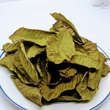 1000+ Dehydrated Cassia Alata , Organic dried candle bush Leaves , King of the medicinal plant-5