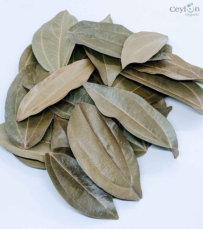 500+ Organic Cinnamon Leaves,Dried Cinnamon Leaves | ceylon organic-6