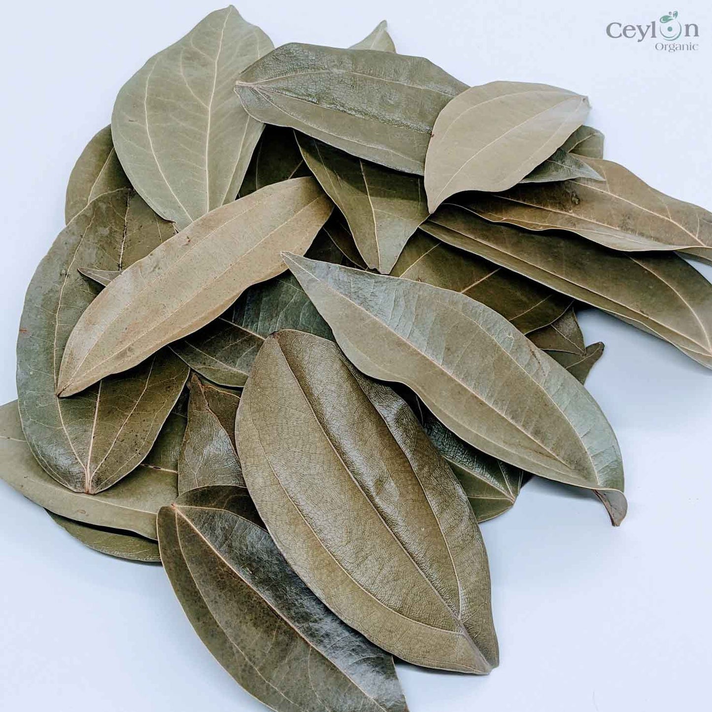 500+ Organic Cinnamon Leaves,Dried Cinnamon Leaves | ceylon organic-9