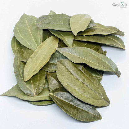 500+ Organic Cinnamon Leaves,Dried Cinnamon Leaves | ceylon organic-3