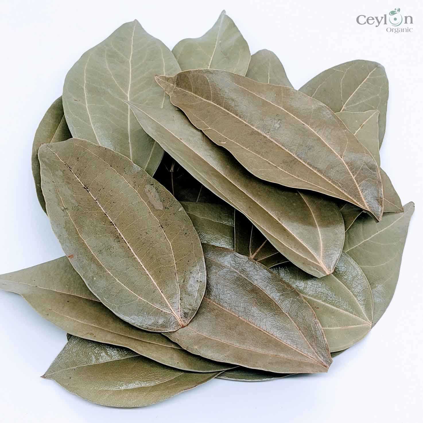 500+ Organic Cinnamon Leaves,Dried Cinnamon Leaves | ceylon organic-8