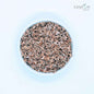 500g+ Fennel Seeds, sweet cumin, large cumin, Best quality ceylon spices | Ceylon Organic-0