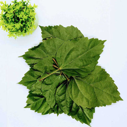 500+ Dried Hibiscus Leaves - Caffeine-Free Herbal Tea, Natural Antioxidant Boost | Ceylon Organic-1