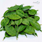 500+ Lime Leaves, Dried Lime Leaves, 100% Organic Lime leaves | Ceylon Organic-0
