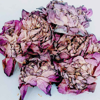 Dehydrated Sri Lankan Nelumbo Nucifera: The Enchanting Lotus Flower Herbal tea | Ceylon Organic-1