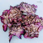 Dehydrated Sri Lankan Nelumbo Nucifera: The Enchanting Lotus Flower Herbal tea | Ceylon Organic-9