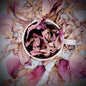 Dehydrated Sri Lankan Nelumbo Nucifera: The Enchanting Lotus Flower Herbal tea | Ceylon Organic-5