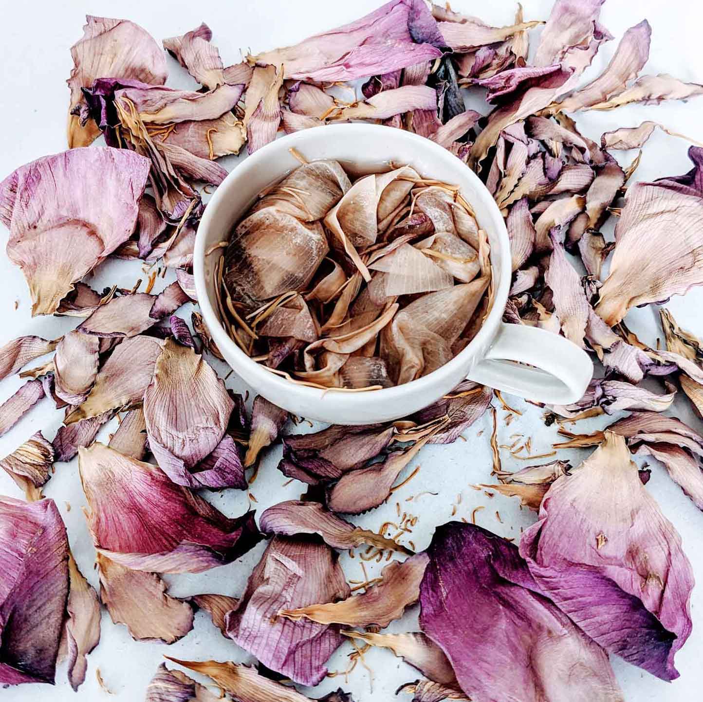 Dehydrated Sri Lankan Nelumbo Nucifera: The Enchanting Lotus Flower Herbal tea | Ceylon Organic-6