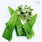 2kg+ Pandan Leaves,Dried Pandan Leafs,Dried Pandanus Leaves | Ceylon Organic-7