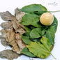 500+ Passion Fruit,Dried Passion Fruit Leaves,Dried Natural Passion Fruit Leaves | Ceylon organic-1