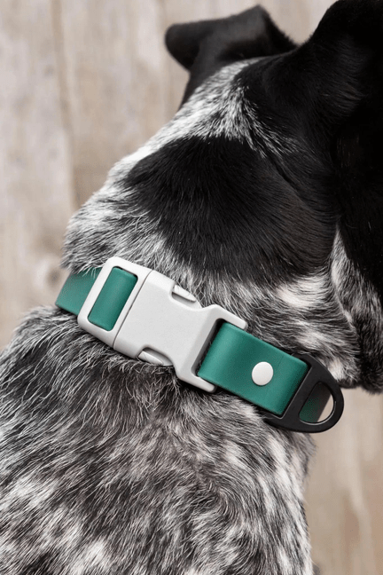 🐾 Siberian Strength Waterproof Dog Collar 🌊-0
