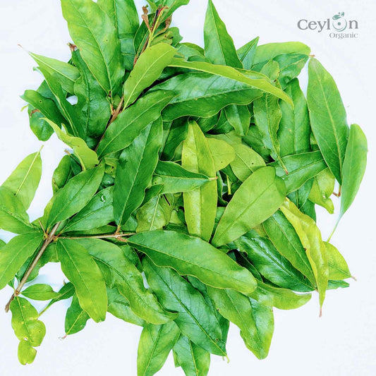 500+ Pomegranate Leaves ,Dried Punica granatum Leaves, 100% organic dried leaves | Ceylon Organic-0