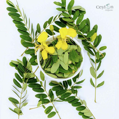 2kg+ Senna Auriculata Leaves - The Perfect Ingredient for Teas, Smoothies, and Herbal Remedies | Ceylon Organic-3
