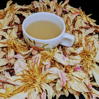 Premium Dehydrated White Lotus Flowers - Natural Herbal Tea | Ceylon Organic-1