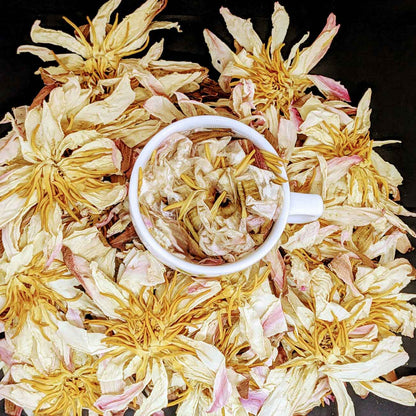 Premium Dehydrated White Lotus Flowers - Natural Herbal Tea | Ceylon Organic-5