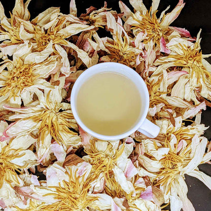 Premium Dehydrated White Lotus Flowers - Natural Herbal Tea | Ceylon Organic-7